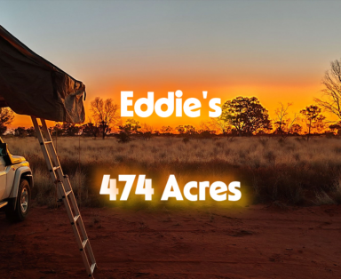 Residential Block For Sale - SA - Mount Mary - 5374 - EDDIE'S - Sheep, Camping, 4wd'ing, Fun!  (Image 2)
