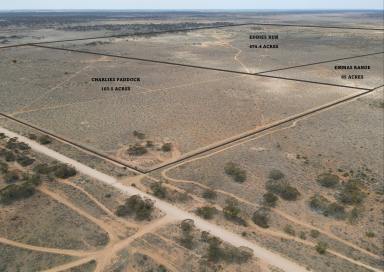 Residential Block For Sale - SA - Mount Mary - 5374 - COORA FARMS - AVAILABLE NOW  (Image 2)