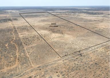 Residential Block For Sale - SA - Mount Mary - 5374 - EDDIE'S - Sheep, Camping, 4wd'ing, Fun!  (Image 2)