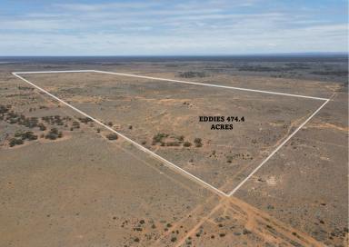 Residential Block For Sale - SA - Mount Mary - 5374 - EDDIE'S - Sheep, Camping, 4wd'ing, Fun!  (Image 2)