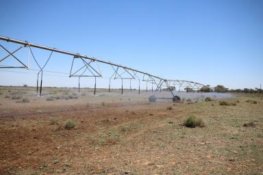 Cropping For Sale - NSW - Wakool - 2710 - GROUNDWATER OFFERING SECURITY DURING DRY TIMES  (Image 2)