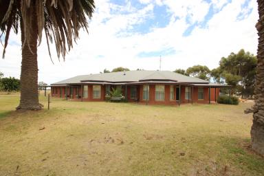 Cropping For Sale - NSW - Wakool - 2710 - GROUNDWATER OFFERING SECURITY DURING DRY TIMES  (Image 2)