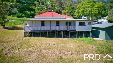 House For Sale - NSW - Kyogle - 2474 - Location, Location, Location!  (Image 2)