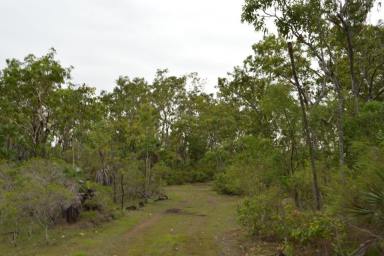Acreage/Semi-rural For Sale - NT - Dundee Forest - 0840 - Fantastic Weekender  (Image 2)