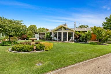 House For Sale - VIC - Delacombe - 3356 - LARGE FAMILY HOME IN PRIME POSITION WITH EXTENSIVE SHEDDING  (Image 2)