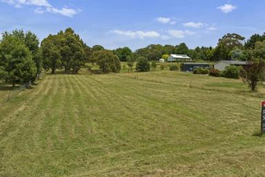 Other (Rural) For Sale - VIC - Strathbogie - 3666 - Prime 1940m² House Block in Strathbogie: Your Gateway to Tranquil Living  (Image 2)