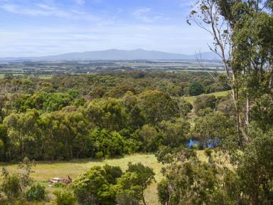 Residential Block For Sale - VIC - Foster - 3960 - "Wood Duck Farm"  (Image 2)