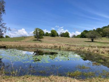 Other (Rural) Sold - NSW - Raleigh - 2454 - Coastal farm located in Bellinger Valley  (Image 2)