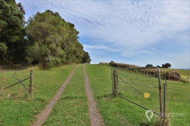 Other (Rural) For Sale - VIC - Mardan - 3953 - AFFORDABLE GRAZING  (Image 2)