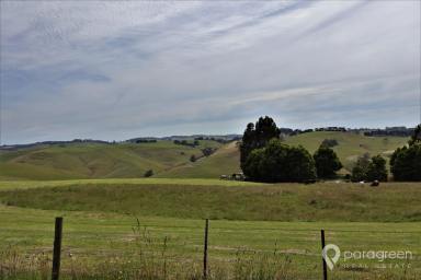 Other (Rural) For Sale - VIC - Mardan - 3953 - AFFORDABLE GRAZING  (Image 2)