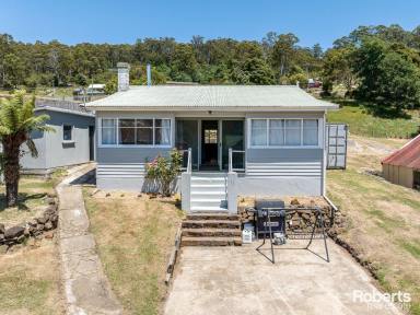 Other (Residential) For Sale - TAS - Derby - 7264 - Investment Opportunity  (Image 2)