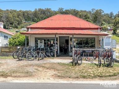 Other (Residential) For Sale - TAS - Derby - 7264 - Investment Opportunity  (Image 2)