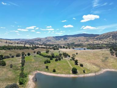Lifestyle For Sale - NSW - Wymah - 2640 - 137 Wymah Ferry Road, Wymah

"Lifestyle with direct frontage Lake Hume"  (Image 2)