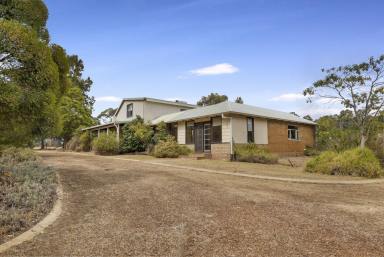 House Sold - WA - Karridale - 6288 - Convenient Country Life  (Image 2)