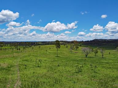Other (Rural) For Sale - QLD - Bucca - 4670 - Kolan River Grazing  (Image 2)