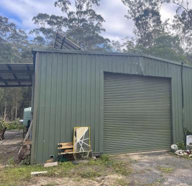 Lifestyle For Sale - NSW - New Italy - 2472 - RURAL COASTAL PARADISE  (Image 2)
