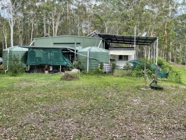 Lifestyle Sold - NSW - New Italy - 2472 - RURAL COASTAL PARADISE  (Image 2)