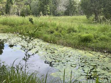 Lifestyle For Sale - NSW - New Italy - 2472 - RURAL COASTAL PARADISE  (Image 2)