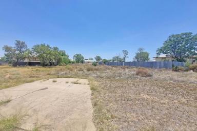 Residential Block For Sale - NSW - Brewarrina - 2839 - Vacant Residential Block  (Image 2)