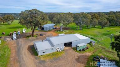 Acreage/Semi-rural For Sale - VIC - Balmoral - 3407 - Income Producing / Lifestyle Property  (Image 2)