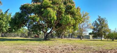 Residential Block Sold - QLD - Caboolture - 4510 - Beautiful 1.5 acres Prime location  (Image 2)