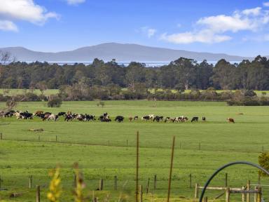 Acreage/Semi-rural For Sale - VIC - Foster - 3960 - Country homestead, captivating coastal views and lush fertile acreage  (Image 2)