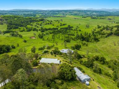 House For Sale - NSW - Goonellabah - 2480 - Sweeping Views Await at Windsor Manor  (Image 2)
