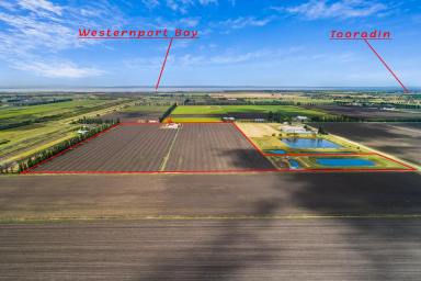 Other (Rural) For Sale - VIC - Dalmore - 3981 - LANDBANK OPPORTUNITY WITH SOLID LEASEBACK.  (Image 2)