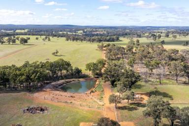 Acreage/Semi-rural Sold - WA - Wooroloo - 6558 - Luxury living under 1 hour from the city  (Image 2)