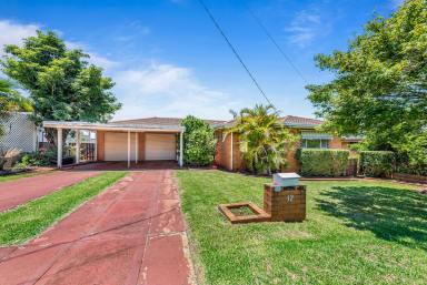 House Sold - QLD - Rockville - 4350 - Huge Potential in Desirable Pocket  (Image 2)