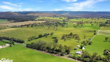 Other (Rural) For Sale - VIC - Devon North - 3971 - CONTEMPORARY RURAL LIVING, MINIMAL MAINTENANCE, MAXIMUM SERENITY!  (Image 2)