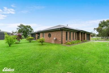 Other (Rural) For Sale - VIC - Devon North - 3971 - CONTEMPORARY RURAL LIVING, MINIMAL MAINTENANCE, MAXIMUM SERENITY!  (Image 2)
