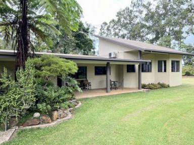 Other (Residential) Sold - QLD - Walkamin - 4872 - Rare Opportunity In Walkamin  (Image 2)