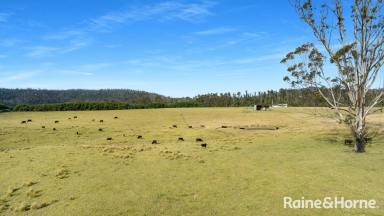 Acreage/Semi-rural For Sale - NSW - Budgong - 2577 - 'Ironbark Estate' - Via Cambewarra & Kangaroo Valley  (Image 2)