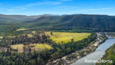 Acreage/Semi-rural For Sale - NSW - Budgong - 2577 - 'Ironbark Estate' - Via Cambewarra & Kangaroo Valley  (Image 2)