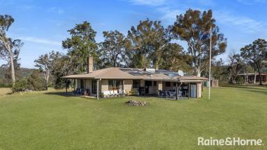 Acreage/Semi-rural For Sale - NSW - Budgong - 2577 - 'Ironbark Estate' - Via Cambewarra & Kangaroo Valley  (Image 2)
