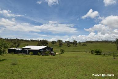 Other (Rural) For Sale - QLD - Wilson Valley - 4625 - *Picturesque Wilson Valley Gem*  (Image 2)