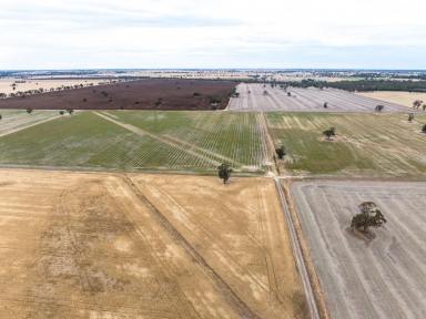 Cropping Auction - SA - Pooginagoric - 5268 - Prime - Crop - Location - with Facilities  (Image 2)