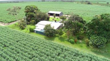 Cropping For Sale - QLD - Inkerman - 4806 - "Above Average Irrigated Productive Cane Farm" A Must To inspect!!!  (Image 2)
