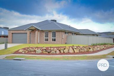 House For Lease - NSW - Lavington - 2641 - FOUR BEDROOM HOME IN POPULAR LOCATION  (Image 2)