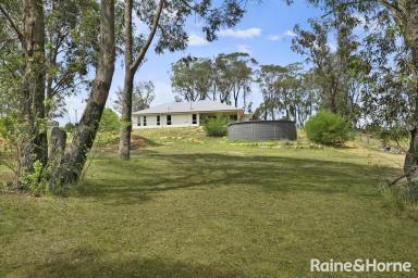 House For Sale - NSW - Wingello - 2579 - Beautiful Country Property Brimming with Opportunity.  (Image 2)