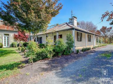 House For Lease - NSW - Moss Vale - 2577 - Charming Weatherboard Home + Historic Shopfront  (Image 2)