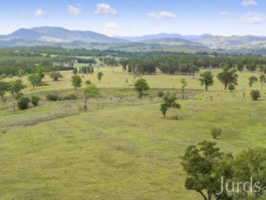 Lifestyle Sold - NSW - Sedgefield - 2330 - HOBBY FARMTASTIC  (Image 2)