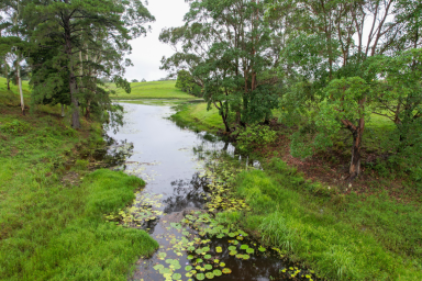 Lifestyle Sold - QLD - Bellthorpe - 4514 - PRIVATE LAKE ESTATE  (Image 2)