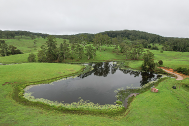 Lifestyle Sold - QLD - Bellthorpe - 4514 - PRIVATE LAKE ESTATE  (Image 2)