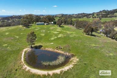 Acreage/Semi-rural Sold - VIC - Harcourt North - 3453 - LOCATION, PRIVACY AND WONDERFUL HILLTOP VIEWS OVER ROLLING HILLS  (Image 2)