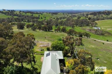 Acreage/Semi-rural Sold - VIC - Harcourt North - 3453 - LOCATION, PRIVACY AND WONDERFUL HILLTOP VIEWS OVER ROLLING HILLS  (Image 2)