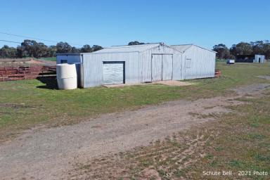 Cropping For Sale - NSW - Peak Hill - 2869 - Ready to go!  (Image 2)