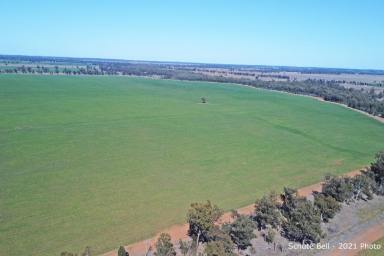 Cropping For Sale - NSW - Peak Hill - 2869 - Ready to go!  (Image 2)