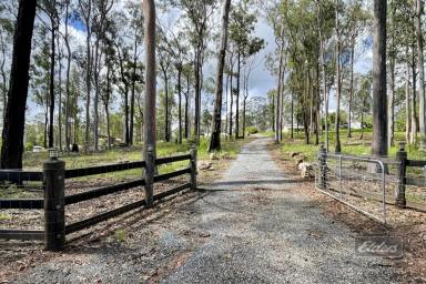 House Sold - QLD - Glenwood - 4570 - SIMPLE EASY LIVING!  (Image 2)